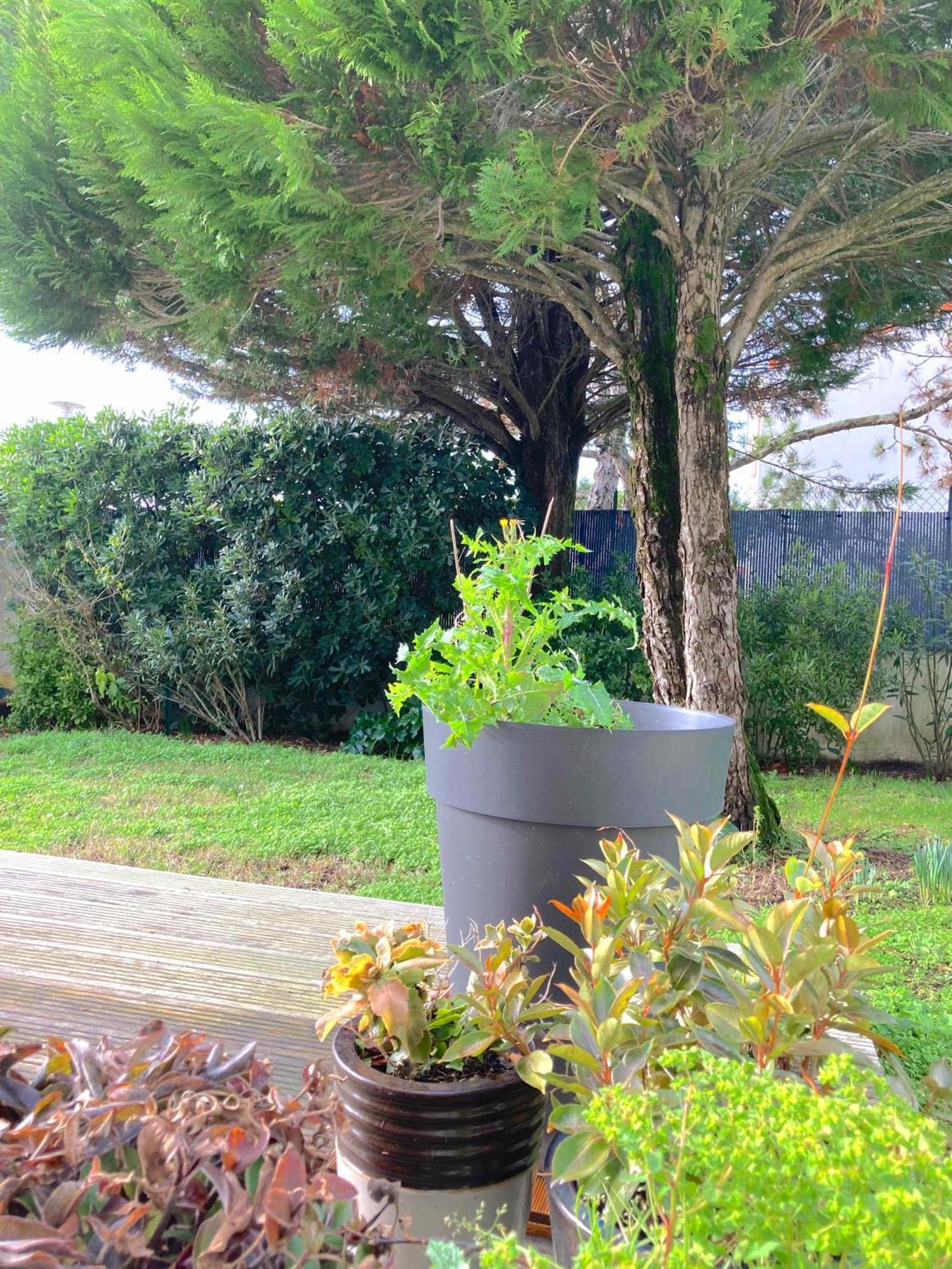 לה רושל Maison Centre Ville Avec Jardin , Terrasse, Et Garage Velos מראה חיצוני תמונה